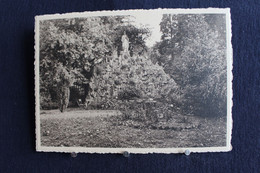 L99- Blegny-Trembleur-Institut St-Joseph Dirigé Par Les Filles De St-Joseph-Ecole Agréée- Le Rocher Du Sacré-Coeur - Blégny