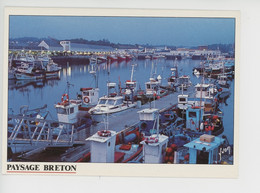 Concarneau - La Flotille De Pêche - Paysage Breton Cp Vierge N°1020 Yvon - Concarneau