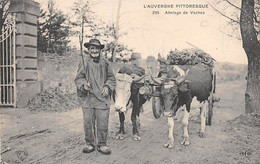 Divers Auvergne Pittoresque     63       Paysan Et Son Attelage De Vaches     N° 295(voir Scan) - Auvergne Types D'Auvergne