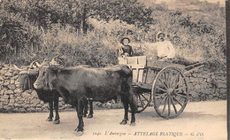 Divers Auvergne     63        Attelage Rustique      N° 1040    (voir Scan) - Auvergne Types D'Auvergne