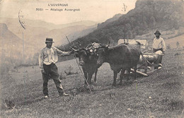 Divers Auvergne     63         Attelage Auvergnat Transport D'un Tronc D'arbre   CCCC N° 3051     (voir Scan) - Auvergne Types D'Auvergne