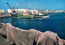 Penmarch - St Guénolé - La Criée Et Le Port De Pêche - Bateaux - Penmarch