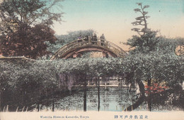 Delcampe - 416 – Vintage Colorized 1900-10 – Japan Japon – Wisteria Blossom Kameido Tokyo - Animation - Excellent Condition - Tokyo