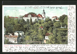 AK Eisenberg I. Thür., Ortspartie Mit Schloss - Eisenberg