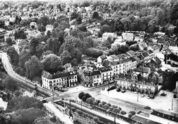 95-L'ISLE-ADAM-PARMAIN - VUE DU CIEL - L'Isle Adam