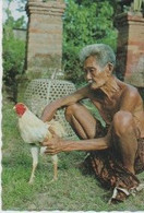 CPSM 10x15 . VOLAILLE . Vieil Homme  Caressant Son Coq De Combat . BALI - Autres & Non Classés