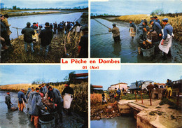 01-LA PÊCHE EN DOMBES- MULTIVUES - Sin Clasificación