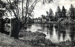 CHAMPS - Les Bords De L'Yonne - 4 - Champs Sur Yonne