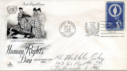 ONU New York. Enveloppe 1er Jour De 1955. Illustration : Sumo. - Unclassified