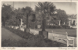 6672) BAD SALZUFLEN - Palmenweg Im Park - ALT ! 5.6.1934 - Bad Salzuflen