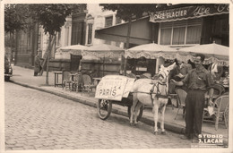 Limoges * Carte Photo * Passage De Tintin Et Son Maître " Les Pyrénées - Paris " Devant Le Café Glacier * Attelage âne - Limoges