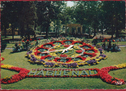 Horloge Florale Bloemenhorloge Bloemen Horloge Bas Rhin Haguenau - Haguenau