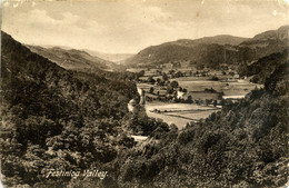 GWYNEDD - FESTINIOG VALLEY Gwy626 - Merionethshire