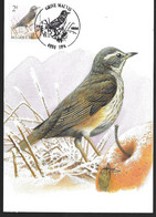 BUZIN Oiseau Grive Mauvis Cachet SPA 29/06/1996 Timbre Yvert 2646 Carte Signée Buzin - 1991-2000