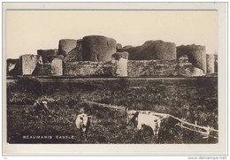 ANGLESEY - BEAUMARIS CASTLE - Anglesey