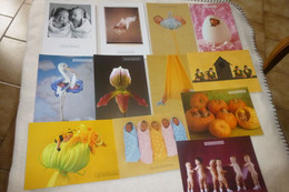 LOT DE 12 CARTES FANTAISIE ...BEBES..FLEURS...SIGNE ANNE GEDDES - 5 - 99 Cartes