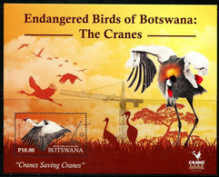 XG1061 Botswana 2020 Protects Endangered Birds Due To Human Construction S/S - Botswana (1966-...)