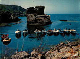 Ile De Groix * L'anse De St Nicolas Et Le Pittoresque Rocher De La Vache - Groix