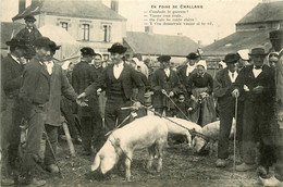 Challans * La Foire Aux Cochons * Marché Aux Porcs * Marchands Place - Challans