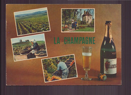 LA CHAMPAGNE - Champagne-Ardenne