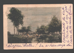 Kontich (verzonden Uit) - Landschap - Verzonden 'Contich' 1902 - Kontich