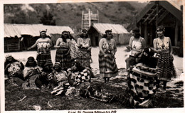 Nouvelle-Zélande - Maori Poi Dancers Rotorua N.Z. - Carte-photo N° 5193 - Nouvelle-Zélande