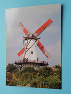 Van BUTSELE'S MOLEN > WEVELGEM ( Foto John Verpaalen ) Anno 19?? ( Zie / Voir Photo ) Moulin / Mill / Mühle ! - Wevelgem