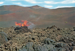 ESPAGNE,SPAIN,ESPANA,ISLAS CANARIAS,LANZAROTE,LANCEROTTE,ILES DES CANARIES - Lanzarote