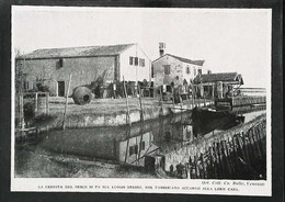 ► (1929) CHIOGGIA - Cernita Del Pesce  - Coupure De Presse Italienne   Originale (Encart Photo) - Historische Documenten
