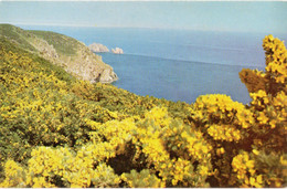 C1970-Gorse On The South Coast, Alderney,Channel Islands (pub. States Of Alderney) -ile Aurigny - Alderney