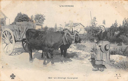 Divers Auvergne        63       Une Paysanne Et Son  Attelage Auvergnat      CCC 182 (voir Scan) - Auvergne Types D'Auvergne