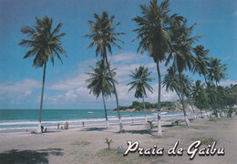Cabo - Pernambuco, Praia De Gaibu - Recife