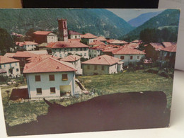 Cartolina Coloretta Di Zeri Prov Massa Carrara Panorama - Massa