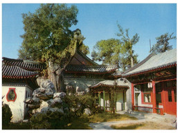 (TT 6) China - Ancient Three Pavilion At Beikei Park - Buddhism