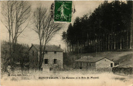 CPA MONTFAUCON - Le Ruisseau Et Le Bois De Mazard (517433) - Montfaucon En Velay