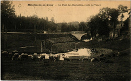 CPA MONTFAUCON-en-VELAY - Le Pont Des Rochettes Route De-TENCE (517453) - Montfaucon En Velay