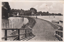 6819) Strandpromenade Im STEINHUDER MEER - Steinhude - ALT ! - Steinhude