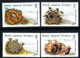 British Antarctic Territory BAT 1989 Lichens Set Of 4, MNH - Ongebruikt