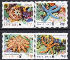 British Indian Ocean Territory BIOT 2001 Sea Stars Marine Life Set Of 4, MNH, SG 253/6 (A) - Britisches Territorium Im Indischen Ozean