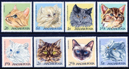 HUNGARY 1968 Cats MNH / **.  Michel 2387-94 - Ungebraucht