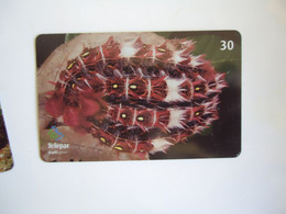 BRAZIL USED CARDS FISH FISHES MARINE LIFE - Peces