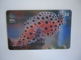 BRAZIL USED CARDS FISH FISHES MARINE LIFE - Fische