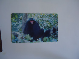 BRAZIL USED CARDS ANIMALS MONKEY - Dschungel