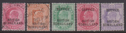 1903. BRITISH SOMALILAND. Edward VII. Selection With 5 Stamps, 2 Cancelled And 3 Hing... (Michel 19+) - JF422112 - Somaliland (Herrschaft ...-1959)