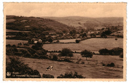 CPA-Carte Postale Belgique-Erezée- Panorama Des Hameaux -1943 VM33795 - Erezée