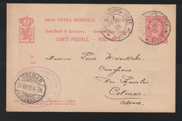 Luxembourg - Entier Postal De 1895 Pour Colmar En Alsace - 1895 Adolfo De Perfíl