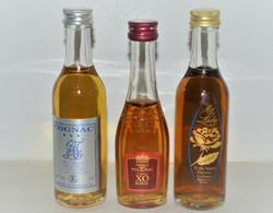 3 MIGNONETTES COGNAC ALAIN FOUGERAT PRINCE POLIGNAC XO ROYAL MY LADY D Du VERON Collection Vitrine Déco - Miniaturflaschen