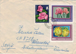 Budapest 1972 - Titanopsis Calcarea - Gymnocalcium Michanovichii Rubra - Kakteen Rosen > Schweiz - Covers & Documents