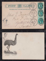 New South Wales Australia 1904 Picture Postcard SYDNEY To GÖTHEBORG Sweden Emu Bird - Cartas & Documentos