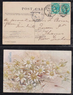 New South Wales Australia 1905 Picture Postcard SYDNEY To NEW ZEALAND Traveling PO Aukland Ambulante Postmark - Cartas & Documentos